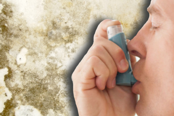 Asthma & Emphysema  