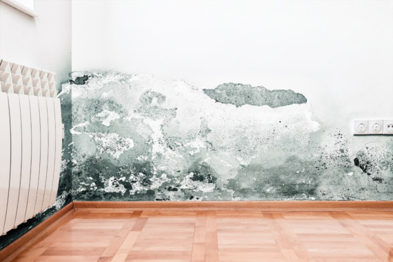 Surprising Misdiagnoses for  Mould Exposure